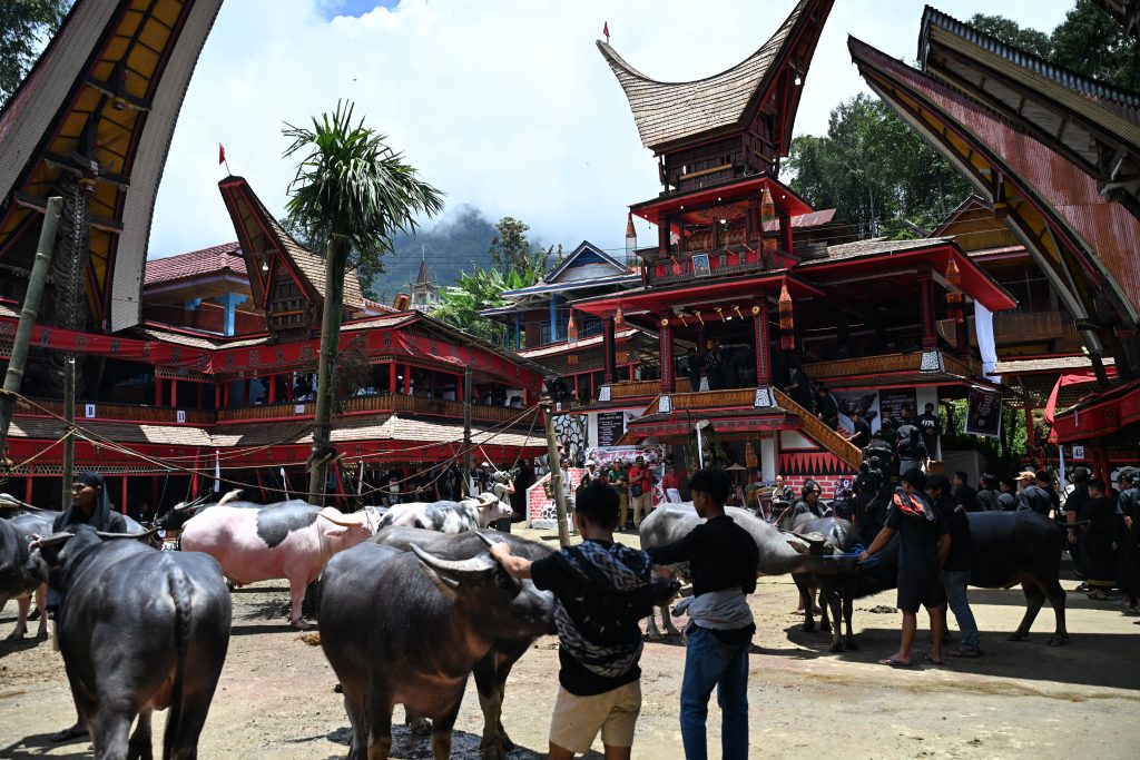 Rambu Solo funeral ceremony grounds Tana Toraja, Indonesia