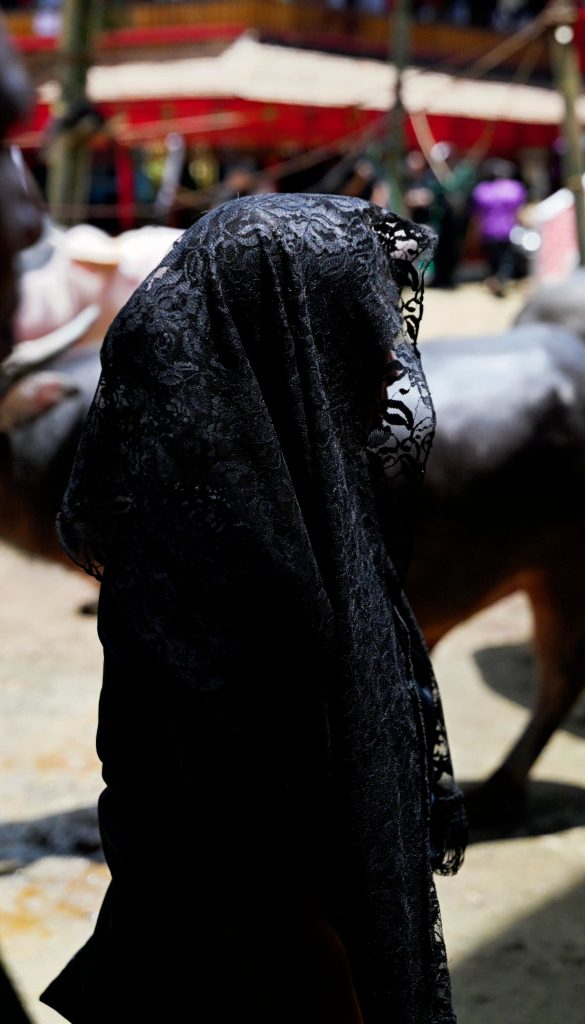 A side-profile silhouette of a Torajan woman draped in a black lace veil during a funeral ceremony, with water buffalo in the background.