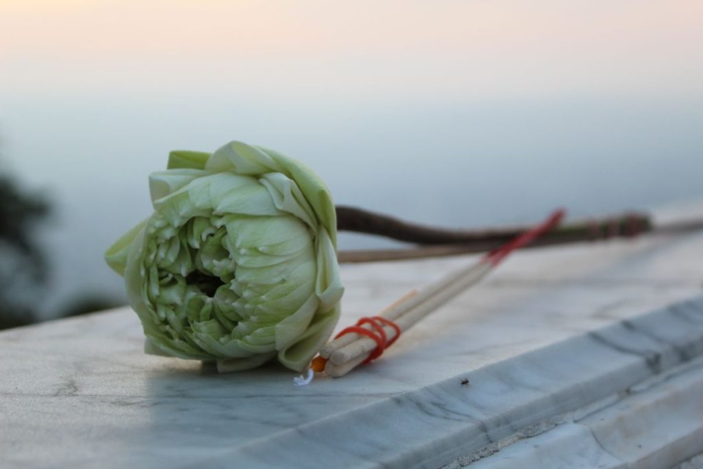 A white lotus flower and incense sticks, symbols of purity and intention, resting on a temple altar at sunrise.