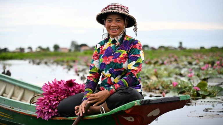 A smiling Cambodian woman sitting in a green wooden boat filled with freshly harvested pink water lily flowers on a lake in Siem Reap.